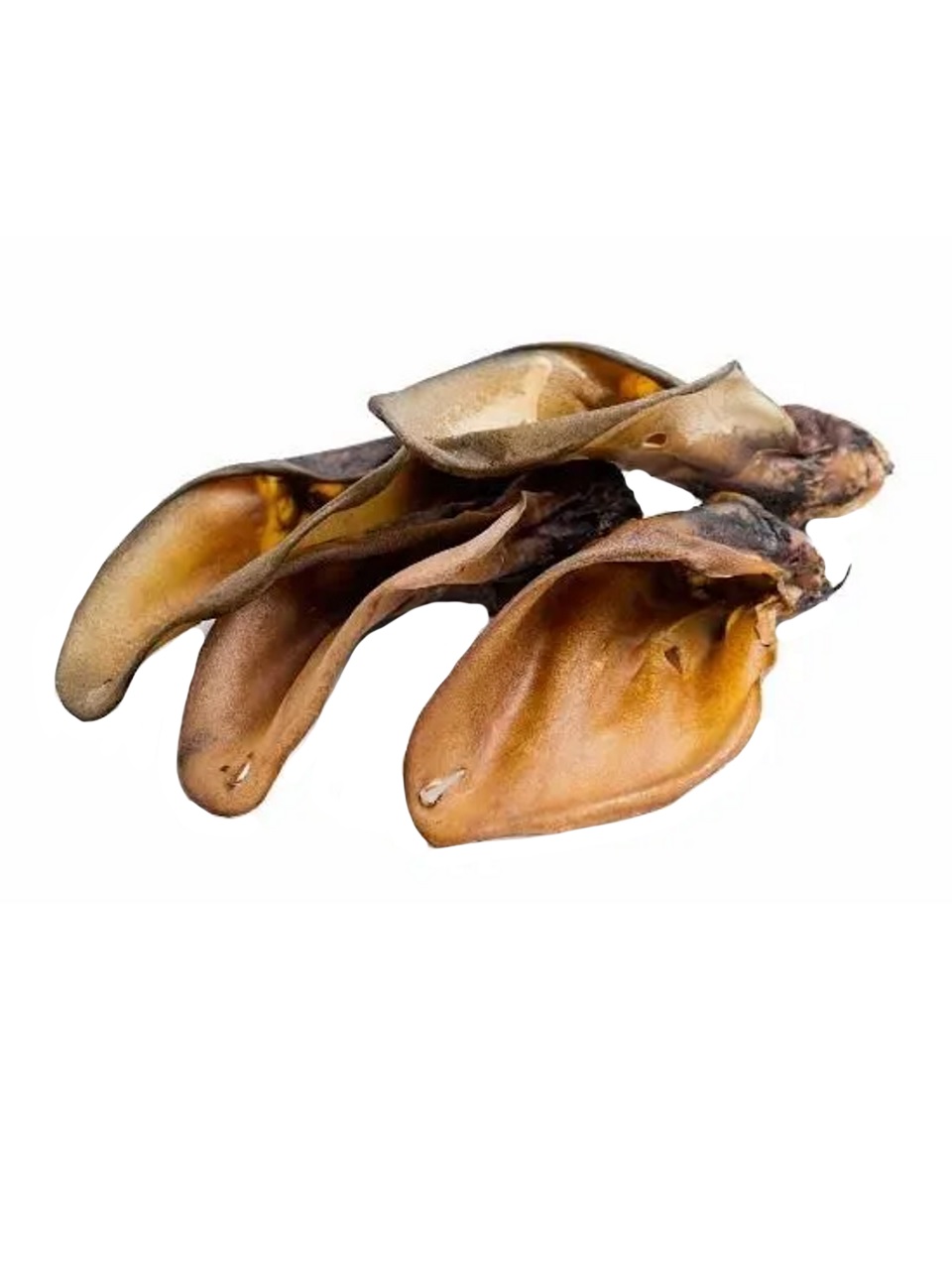 animALL Buvolí ucho se záuškem L 1 ks