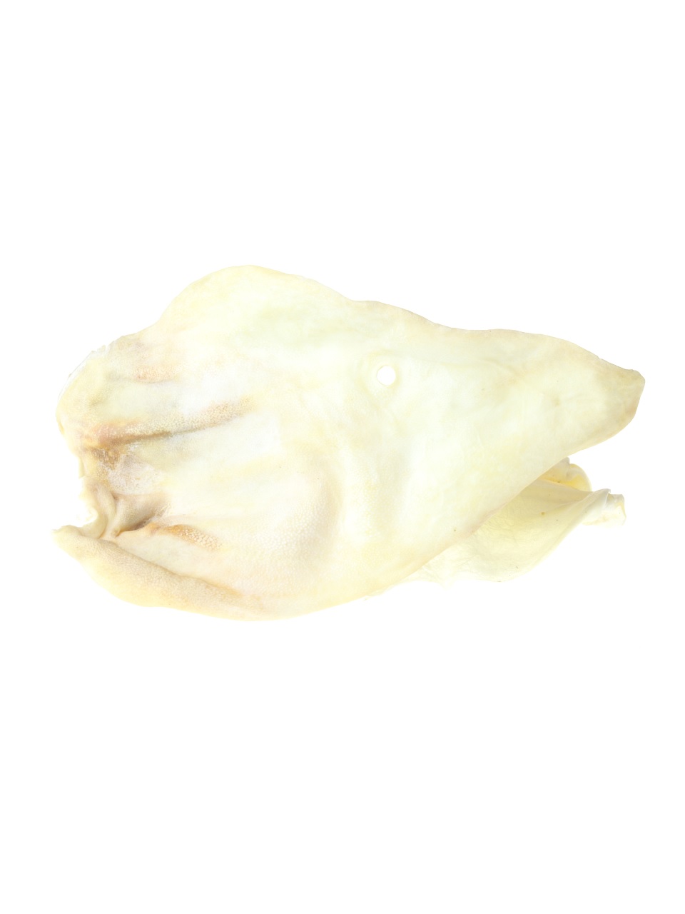 animALL Ucho buvolí bílé 1 ks